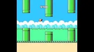 TAS Flappy Bird NES in 319:36 by TehSeven