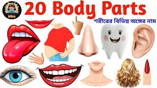 20 Body Parts Name | English & Bangla Body Parts with Pictures | Kids Learning | Kids Education Niha