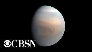 What scientists can lean from discovery of potential life on Venus