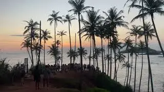 Coconut hill Mirissa 🥥🌴(Sri Lanka🇱🇰)#fypシ゚viral #srilankantourism #visitsrilanka #100kvews 