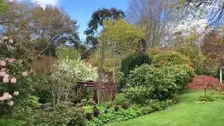 Mid spring at Forest Glade garden. Mt Macedon. 10th Oct 2025. 