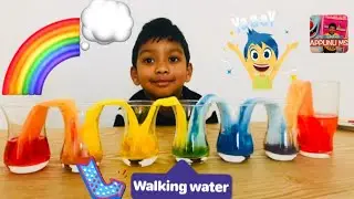 Rainbow Walking Water From Primary Color to Secondary Color DIY Science Experiment For kids