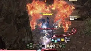 ff compilation