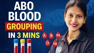 ABO Blood Grouping Explained in 3 Minutes | Class 11 Biology | Blood Groups & Antibodies