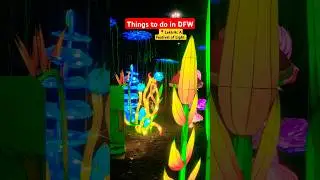 Lektrik: A Light Festival Event Dallas #shorts2025 #viralvideo  #2024shorts #dallasevents  #texas