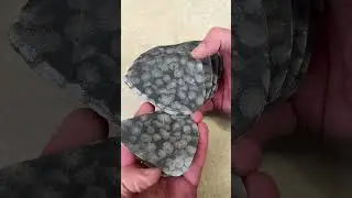 Making Cladopora Pendants  #rockhounding #fossils #jewelry