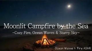 Moonlit Campfire by the Sea | Ocean Waves & Fire ASMR