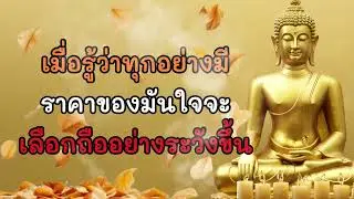 เมื่อรู้ว่าทุกอย่างมีราคาของมัน…ใจจะเลือกถืออย่างระวังขึ้น | ฟังธรรมะแล้วใจจะเบา