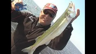 Pejerreyes en Melincué (Santa Fé) y Laguna de Rocha (Chacabuco - Bs.AS)