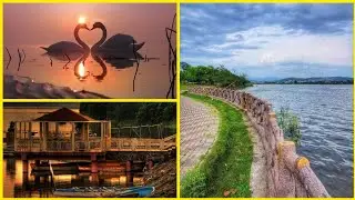Bird Aviary islamabad | Lake View park | Rawal dam | Khadija's Remix Collection