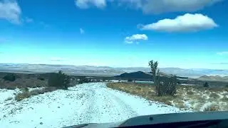 Cold Creek, Nevada Wild Horses during the winter! 