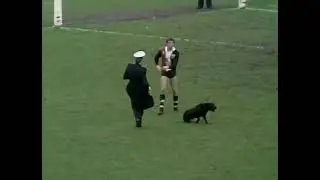 1978, Rd 10 - St Kilda's Doug Booth shockingly kicks a dog in the head