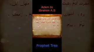 Adam A.s to Ibrahim A.s
