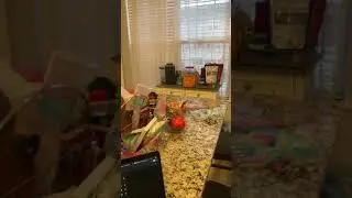 MQTT Smart Blinds