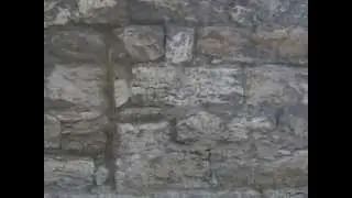 Walls of Tallinn
