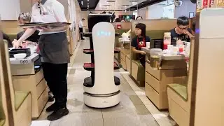 Some restaurant robot servers &lsquo;fired&rsquo;