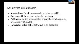 Lecture22 - Metabolic Modeling - MLCB24