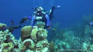 Long caye