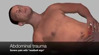 PerSim Demo