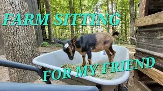 I Watched a Friend's Farm For The First Time