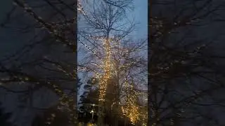 Stockholm City walk  vibes@i winter #sweden #wishesofwanderer #winter#youtubeshorts
