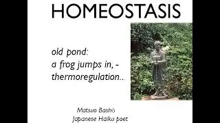 Tea Intoxication Biology #1 - Homeostasis, Physiology and Thermoregulation