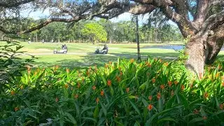 Innisbrook Golf Resort Condo with View of Copperhead Course
