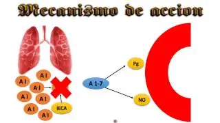 Antihipertensivos /IECA .