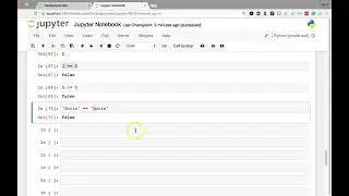 python operator and type of operator