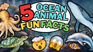 FUN OCEAN ANIMAL FACTS for Children &ndash; Under the Sea Learning Adventure for Kids 🎥