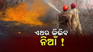 Odisha Govt Formed Nine Member Task Force To Monitor Forest Fires || News Corridor || KalingaTV