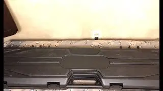 My first new gun of 2018!!