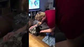 Teaching the dog new tricks and some puppy play time!