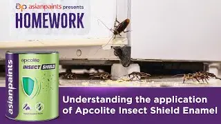 Apcolite Insectshield Enamel: One stop solution for pest infestation | Homework by Asian Paints