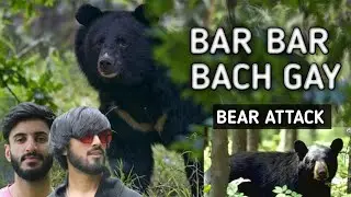 BAR BAR BACH GAY // angery wild bear// bear attack// vlog // the mountain vlogger.