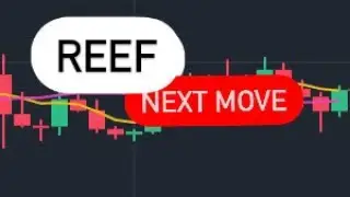 REEF COIN Price Prediction REEF 2023 💥🚀 | REEF News Crypto | Low cap altcoin gems 2022