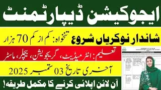 Punjab Education Department Jobs 2025 | How to Apply for Education Department Jobs | Latest Govt Job