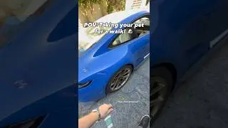 POV: Выгуливаем своего питомца&hellip; #porsche #911carrera #porsche992