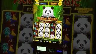MAGICAL! Panda Magic Free Games are really GOOD. #slots #slotmachine #casino #gambling #games #panda