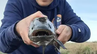 En invierno se pesca en ca&ntilde;adas 🎣🥶♻️ | Pesca Tarariras Uruguay