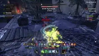 ESO mega bg with STAMDEN crit.build, no proc sets
