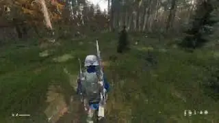 Dayz