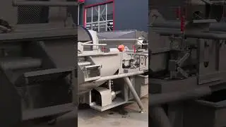 Clean vegetable processing line