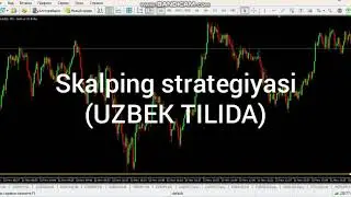 SCALPING STRATEGIYASI UZBEK TILIDA