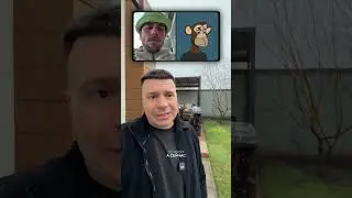 NFT: Пузырь лопнул. Почему Bored Ape и криптопанки потеряли ценность