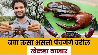 बघा कसा असतो कोल्हापुरातील 'खेकडा बाजार' | Crab Market | Kolhapuri Karbhar