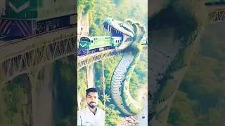 saamp wala video , snake, ai ,#shorts #snake #anaconda #ytshorts #ai #saampwalavideo##samp #trend