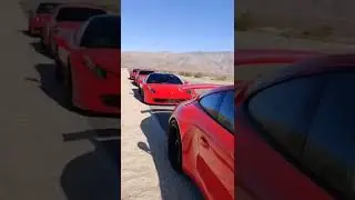 Red Super Car Dream Exotic lineup Ferrari Porsche