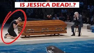 Jessica Radcliffe orca Attack?| Jessica Real News