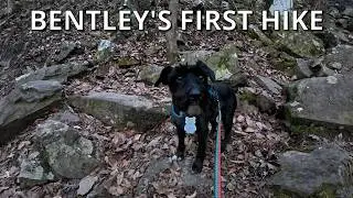 Peaceful Waterfall Hike in Birmingham | Bentley&rsquo;s First Adventure